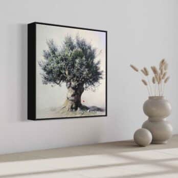 Print on Canvas “Olive Tree V” by Elidon