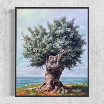 Print on Canvas “Olive Tree IV” by Elidon